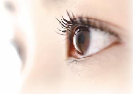 사진 = 동아일보 DB