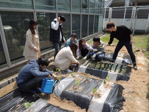 배재대 원예조경학부 학생들이 학교 온실 옆 밭에서 작물을 키우고 있는 모습. 학생들은 수업 시간 외에도 이곳을 찾아 작물의 생태를 알아가고 있다.