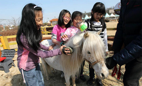 경기 과천시 경마공원대로 ‘렛츠런파크’를 찾은 어린이들이 말과 함께 즐거운 시간을 보내고 있다. 마사회 제공