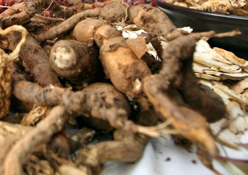 내츄럴엔도텍 백수오. 사진=동아일보 DB