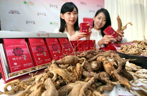 사진 = 동아일보 DB문제가 된 내츄럴엔도텍 백수오