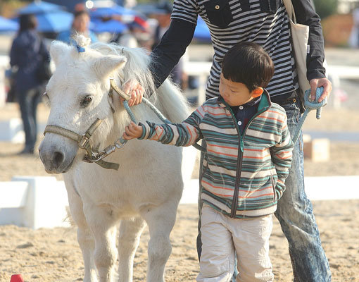 한국마사회는 5월5일 렛츠런파크 서울에서 ‘어린이 승마축제’를 개최한다. 지난해 말운동회에서 말과 함께 노는 어린이. 사진제공｜한국마사회