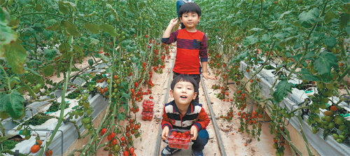 전북 완주군의 ‘해피스테이션’ 체험농가. 완주군은 농민들이 직접 생산한 원재료로 가공식품을 개발해 상품화하는 ‘완주군 스테이션’으로 농촌산업을 활성화하고 있다. 또한 생산자와 소비자의 간격을 줄이기 위한 다양한 체험 프로그램도 운영중이다. 완주군 해피스테이션 제공
