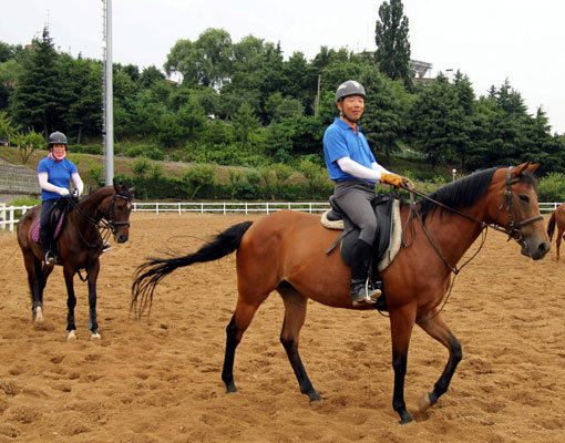 최근 승마를 즐기는 동호인들이 늘고 있다. 승마는 동물과 인간이 조화를 이뤄 행하는 유일한 운동으로, 최근에는 정부의 대중화 정책 덕분에 문턱이 많이 낮아져 주변에서 적정한 가격으로 참여할 수 있는 기회가 확대되고 있다. 스포츠동아DB