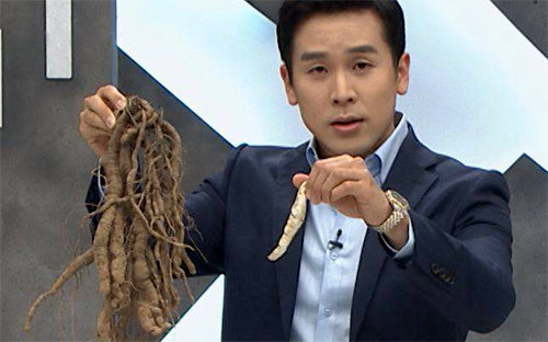 채널A ‘먹거리 X파일’ 진행자인 김진 기자가 자연 상태의 진짜 백수오 뿌리(왼쪽)와 이를 가공한 백수오 조각을 비교하고 있다. 채널A 제공