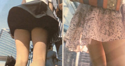 사진=동아일보 DB(해당 사진은 기사와 직접적 관련이 없습니다.)