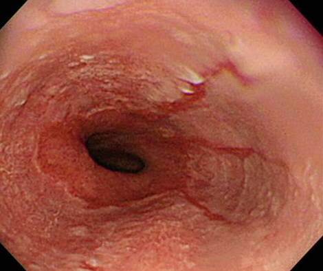 사진=동아일보 DB