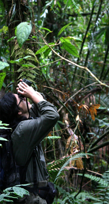인도네시아 열대우림에서 나무 위 긴팔원숭이를 관찰하고 있는 김산하 씨. 그는 야생영장류 연구를 위해 2년간 밀림에서 지냈다. 사이언스북스 제공