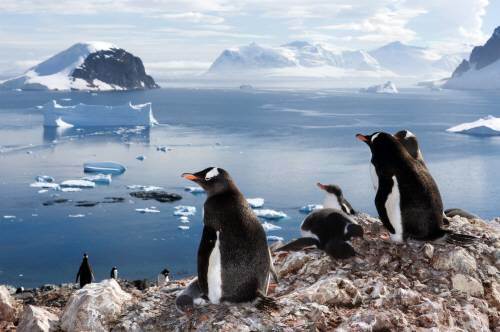 남극 빙붕 소멸 예측. 사진 = 동아DB