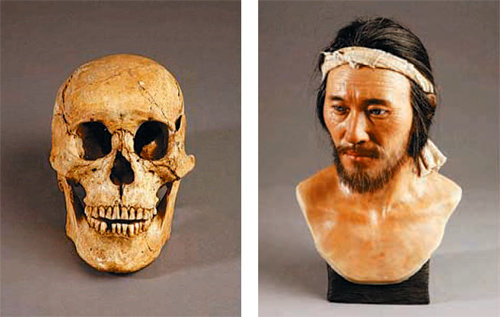 경남 사천시 늑도에서 출토된 성인 남성의 두개골(왼쪽 사진). 이를 바탕으로 생전의 얼굴 모습(오른쪽)을 추정했다. 국립김해박물관 제공