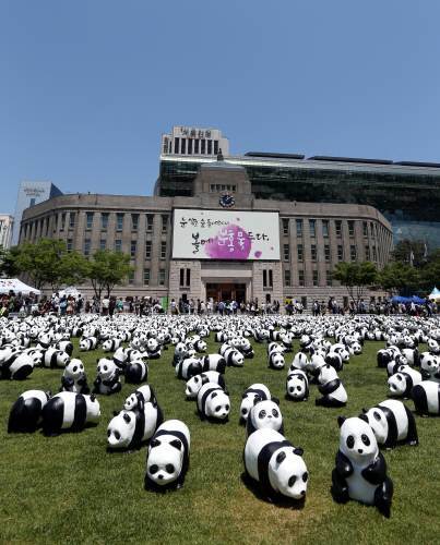 서울광장의 판다. 사진=최혁중 기자