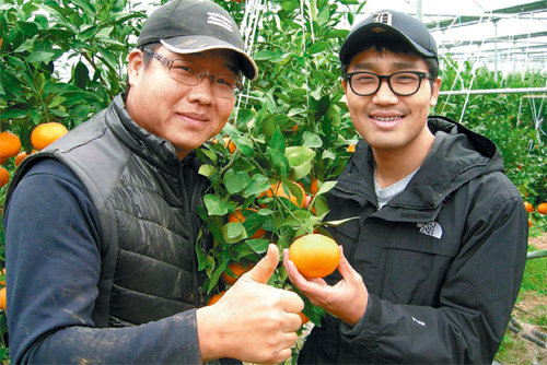 박병열 헬로네이처 대표(오른쪽)가 제주도 레드향(귤의 한 종류) 산지에서 농장 주인과 방금 딴 열매를 살펴보고 있다. 헬로네이처 제공