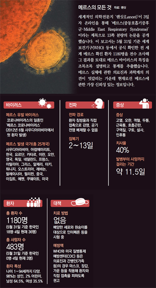 사진 =동아일보DB