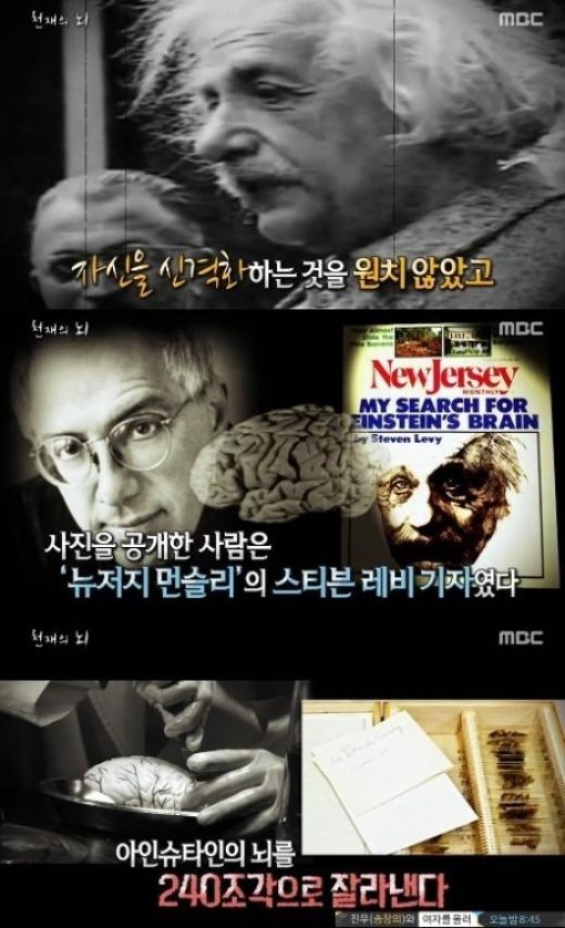 서프라이즈 아인슈타인. 사진=MBC ‘신비한TV 서프라이즈’ 캡처