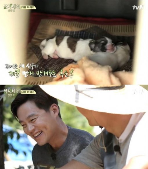 사진=tvN ‘삼시세끼’ 캡처