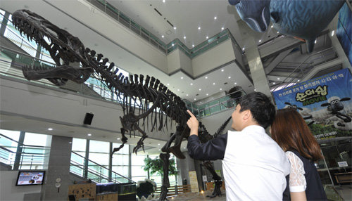 3만 점이 넘는 공룡 화석과 암석, 동식물 표본을 보유한 서울 서대문자연사박물관은 가족뿐 아니라 연인들의 데이트 코스로도 인기를 모으고 있다. 16일 오전 젊은 커플 한 쌍이 박물관의 자랑거리 아프로칸토사우루스 화석을관찰하고 있다. 서울 서대문구 제공
