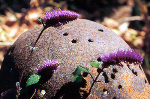 전쟁의 아픔을 간직한 철모.