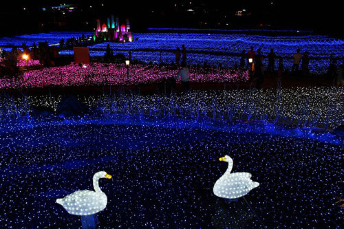 프로방스 빛축제