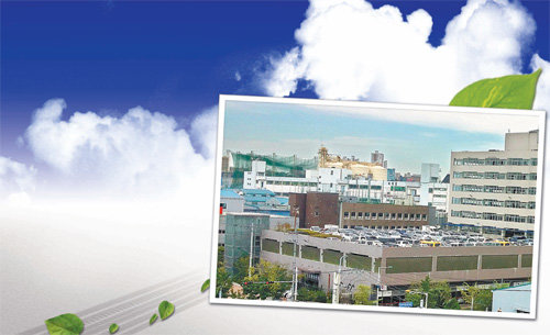 인천 서구 염곡로의 중고차 매매단지 ‘엠파크시티’의 특징은 쇼핑몰 같은 쾌적한 환경과 엄격한 관리 시스템이다. 엠파크시티 타워 전시장에 중고차량들이 전시돼 있다.