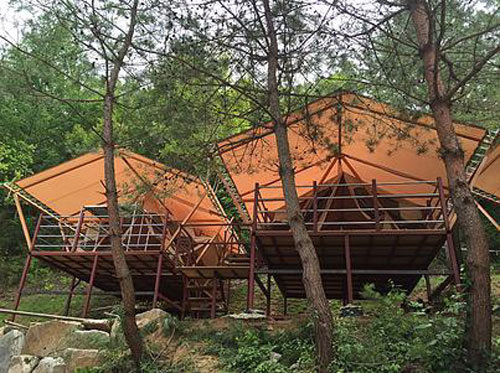 나무 위 숲속에 위치해 있는 쉼더하기 글램핑 파크 텐트 /사진제공 = 평창 쉼더하기