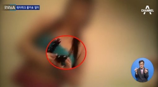 ‘워터파크 용의자 검거’