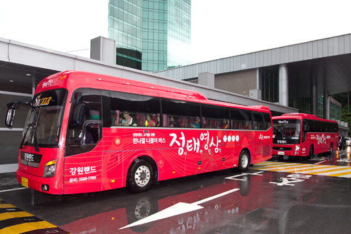 ‘정·태·영·삼’ 버스
