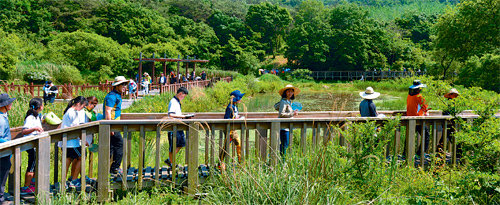 ‘남한의 DMZ’로 불리는 전북 고창 운곡 람사르습지를 찾은 학생들이 탐방로를 걸으며 자연환경해설사로부터 습지에서 자라는 동식물에 관해 설명을 듣고 있다. 고창군 제공