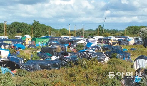 5일 프랑스 북부 칼레 항 인근 숲에 검은색 비닐로 만든 천막들이 거대한 난민촌을 형성하고 있다. 이곳에만 난민 3000∼4000명이 살고 있다.