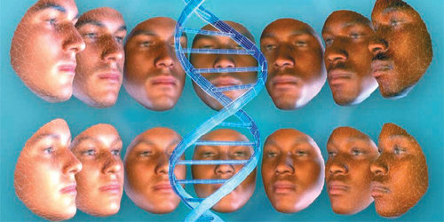 DNA 정보에서 눈과 머리카락, 피부색 등 외형을 분석할 수 있는 ‘DNA 표현형 분석 기술’이 개발되면서 미궁에 빠진 범죄 수사에 활로가 될 것으로 전망된다. 펜실베이니아대 제공