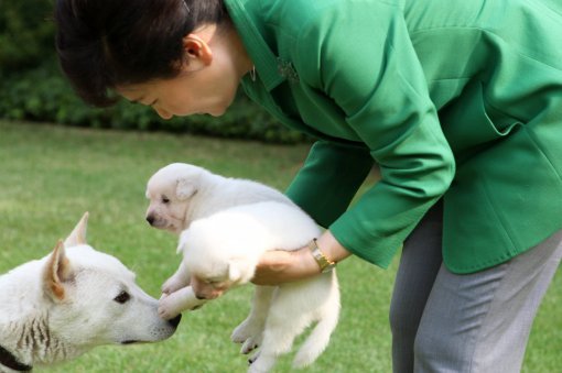 朴대통령 靑 강아지 이름. 사진=박근혜 대통령 페이스북