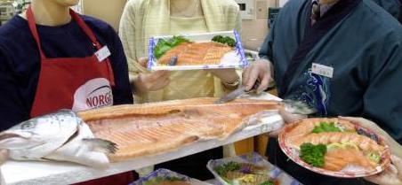 사진 = 동아일보 DB