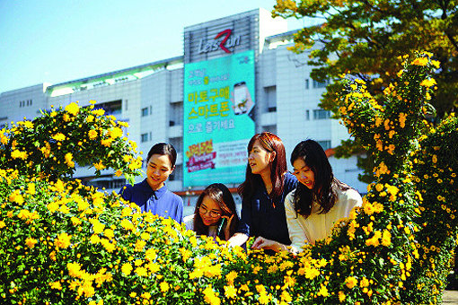 경기도 과천 경마공원역 인근 ‘렛츠런파크 서울’에 전시된 국화작품을 관람하는 직장인들의 모습. 사진제공｜한국마사회