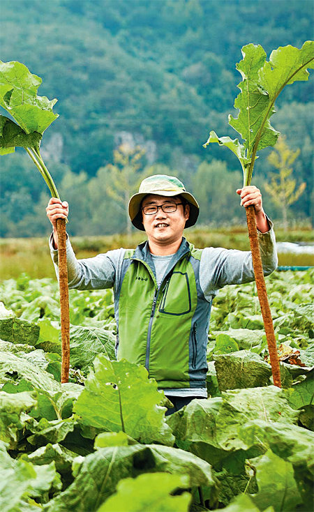 경북 안동 부용농산의 한 직원이 수확한 우엉을 들고 서 있다. 청년 6명이 설립한 부용농산은 지난해 연매출 93억 원 규모로 성장했다. 농림축산식품부 제공