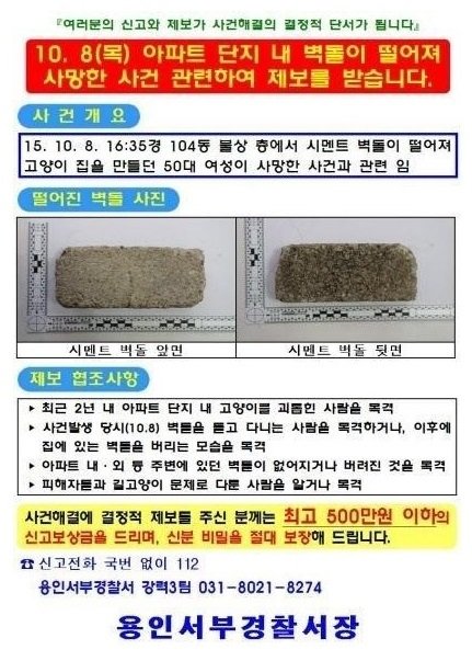 ‘용인 캣맘’ 사망 사건.