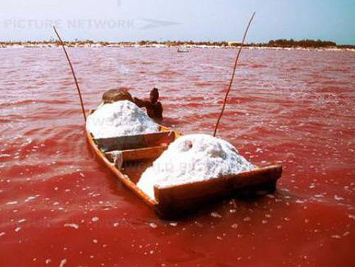 세네갈 레트바 호수에서는 홍조류 때문에 붉은 소금이 나온다. 레이크 레트바 홈페이지 캡처
