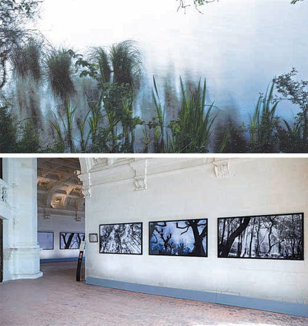 배병우 씨가 찍은 프랑스 샹보르 숲 사진(왼쪽)과 배 씨의 작품들이 전시된 샹보르 성 내부. 배병우 씨 제공
