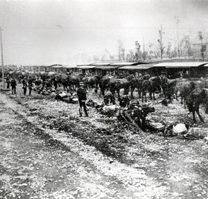 청일전쟁 때 전장으로 출발하는 일본군의 야전포병 제1연대(1894.9.26).
