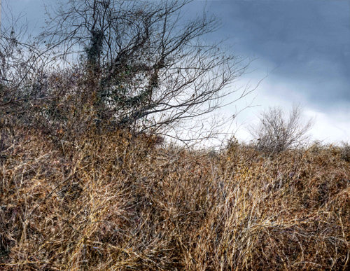 이광호의 유채화 ‘무제 3071’. 가까이 다가서서 살핀 실물의 얼개가 먼발치에서 본 인상을 크게 배신하는 그림이다. 스페이스비엠 제공