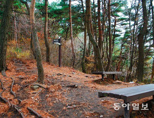 무학산 주부 피살 사건이 일어난 현장 인근의 간이 쉼터. 이 쉼터 바로 아래 산비탈에서 피해 여성이 발견됐다. 강정훈 기자 manman@donga.com