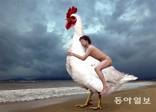 초현실주의를 추구하는 한국 작가 사타의 2010년 작품. 닭에 대한 애정을 표현했다. 닭은 번식력이 왕성하고, 키우기 쉬우며, 해충도 많이 잡아먹어 인류에게 사랑받는 가축이 됐다. 동아일보DB