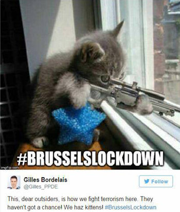 벨기에 시민이 트위터에 올린 고양이 합성 사진과 글. 장난감 총으로 창밖을 겨누는 고양이 아래에 ‘우리는 이렇게 테러에 맞대응한다’는 글귀가 적혀 있다. 트위터 캡처