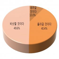 수도권 주택 소유자의 내년 부동산 경기 평가. (자료:피데스개발)