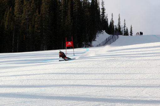 한국 알파인 스키 대표팀 이현지. 사진제공｜대한스키협회