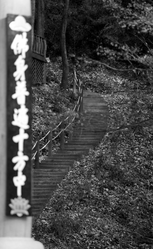 ‘불신보편시방중(부처님의 몸은 시방세계에 두루 계시니)’이라고 쓰인 대웅전 주련 뒤로 둥그렇게 휜 나무 계단이 불자의 발걸음을 기다리고 있다. 이 계단은 산신각으로 향한다.