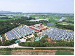 지붕에 태양광패널이 설치돼 있는 봉동농장 전경을 드론으로 촬영한 사진.