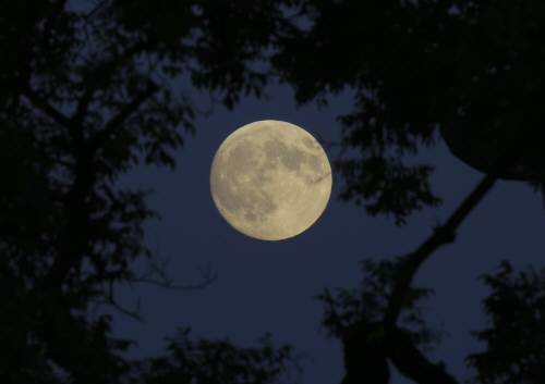 사진 = 동아일보 DB