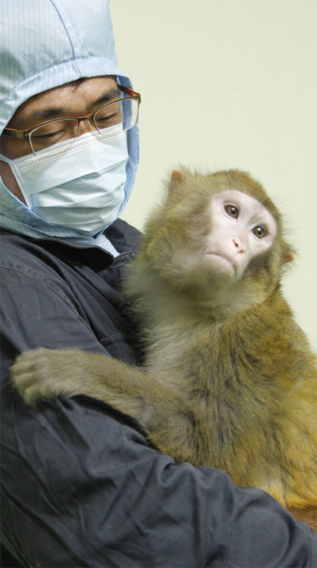 국가영장류센터 연구원이 붉은털원숭이를 안고 있다. 붉은털원숭이는 다섯 살 어린이에 견줄 수 있을 만큼 지능이 뛰어나다.