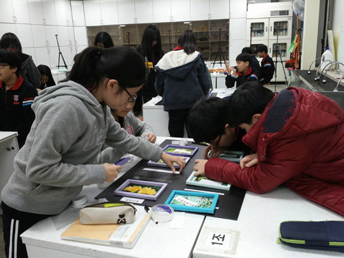 지난해에 자유학기제를 시범운영한 학교들의 교과수업 모습. 식물을 관찰하며 직접 찍은 사진과 그림을 모아 연말 전시회를 준비하는 서울 개원중 1학년들. 개원중 제공