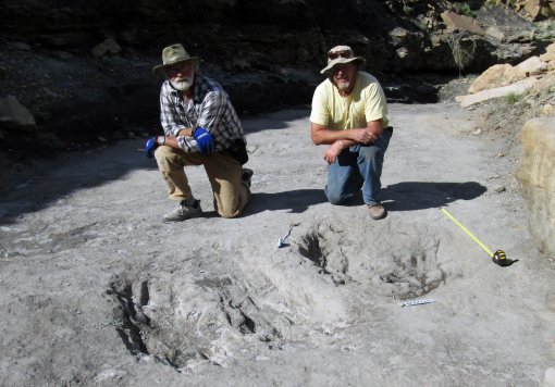 미국 콜로라도주 델타시 국가보존지역에서 발견된 공룡 구애 흔적 화석. 암컷을 차지하기 위해 수컷 육식공룡들이 땅을 긁으며 구애 행위를 벌인 것으로 추정된다. 문화재청 제공