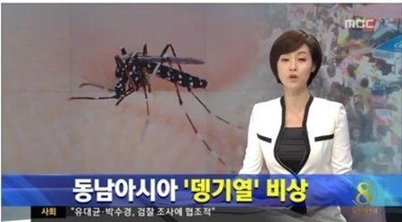 뎅기열 감염.사진= MBC뉴스 캡처